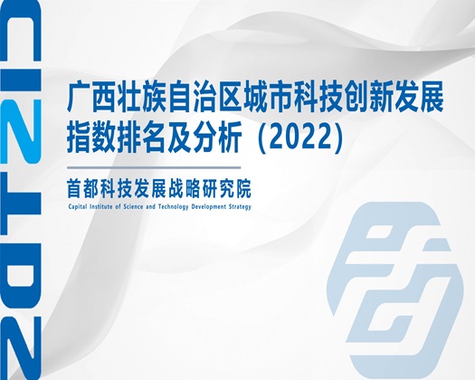 操烂逼黄色网址【成果发布】广西壮族自治区城市科技创新发展指数排名及分析（2022）